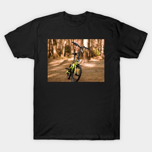 Life is like riding a bicycle. To keep your balance you must keep moving T-Shirt by fantastic-designs